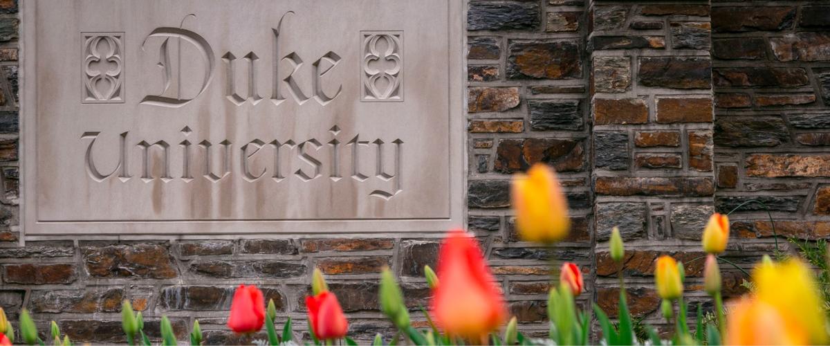 Duke University entrance with tulips