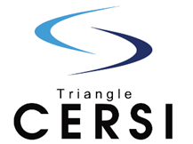 Triangle CERSI logo