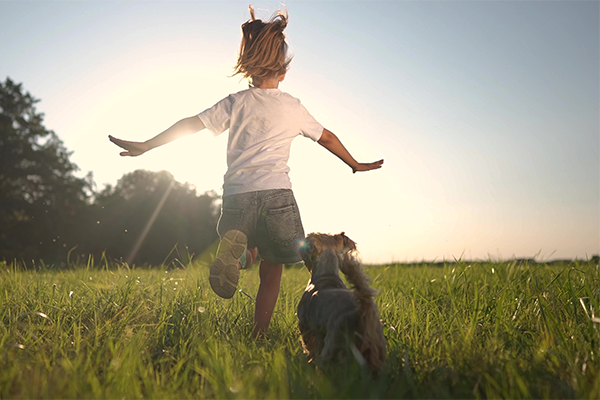 Child and dog running in sunlit field