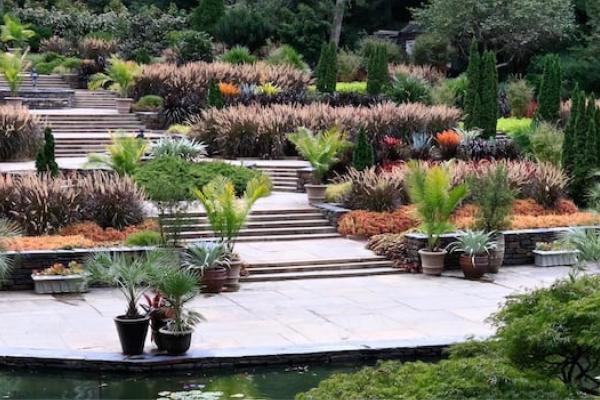 The steps at Duke Gardens