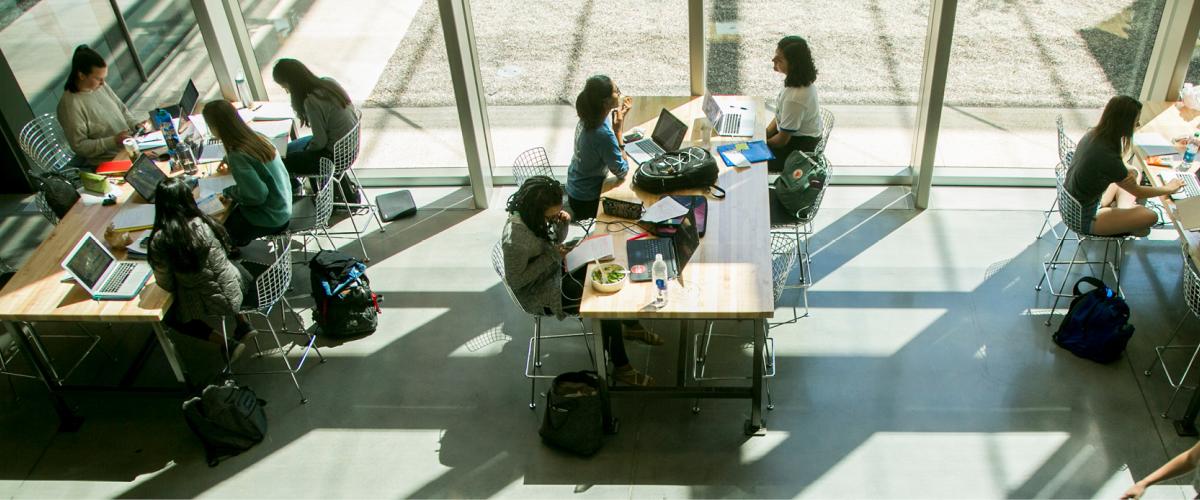 Students Sitting at Tables Working