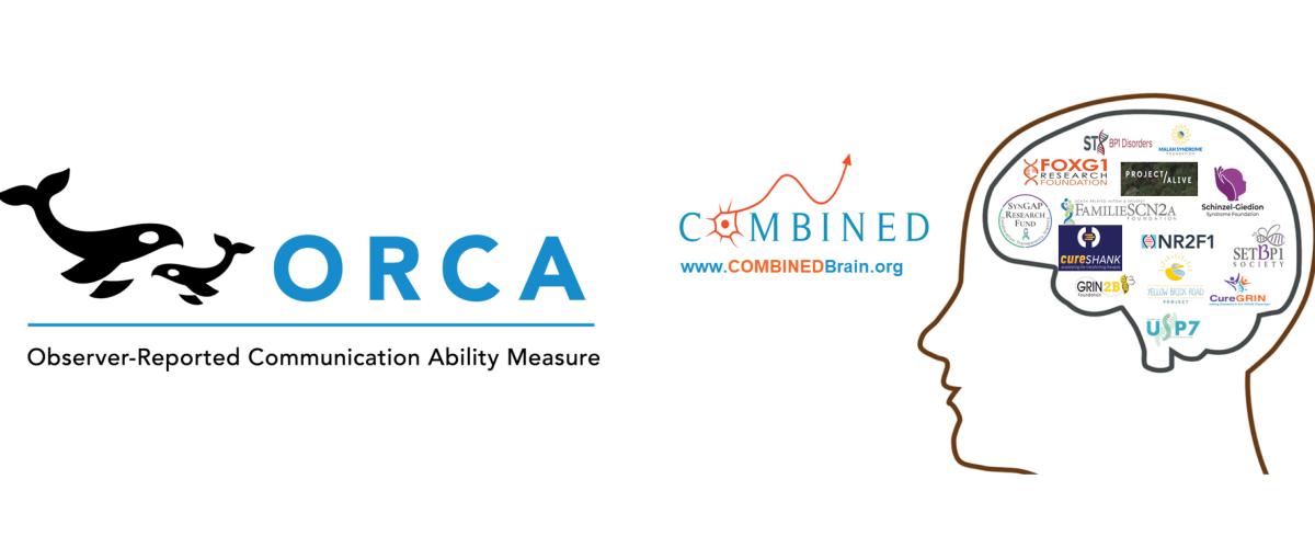 ORCA and Combined Brain Logo
