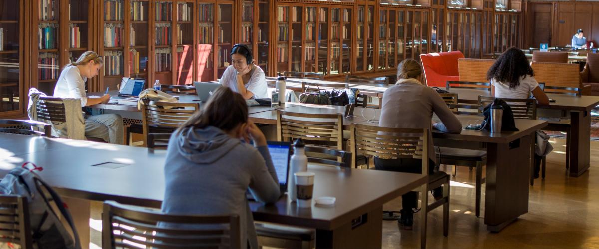 Students in Library