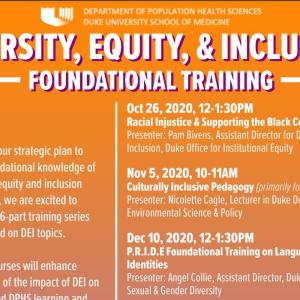 Diversity Equity & Inclusion Foundational Training