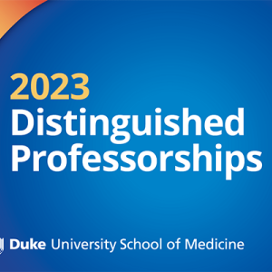 Image of "2023 Distinguished Professorships"