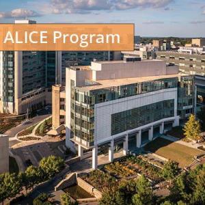 ALICE program article picture